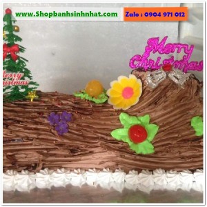 Bánh Kem Tặng Ngày Giáng Sinh - BR33